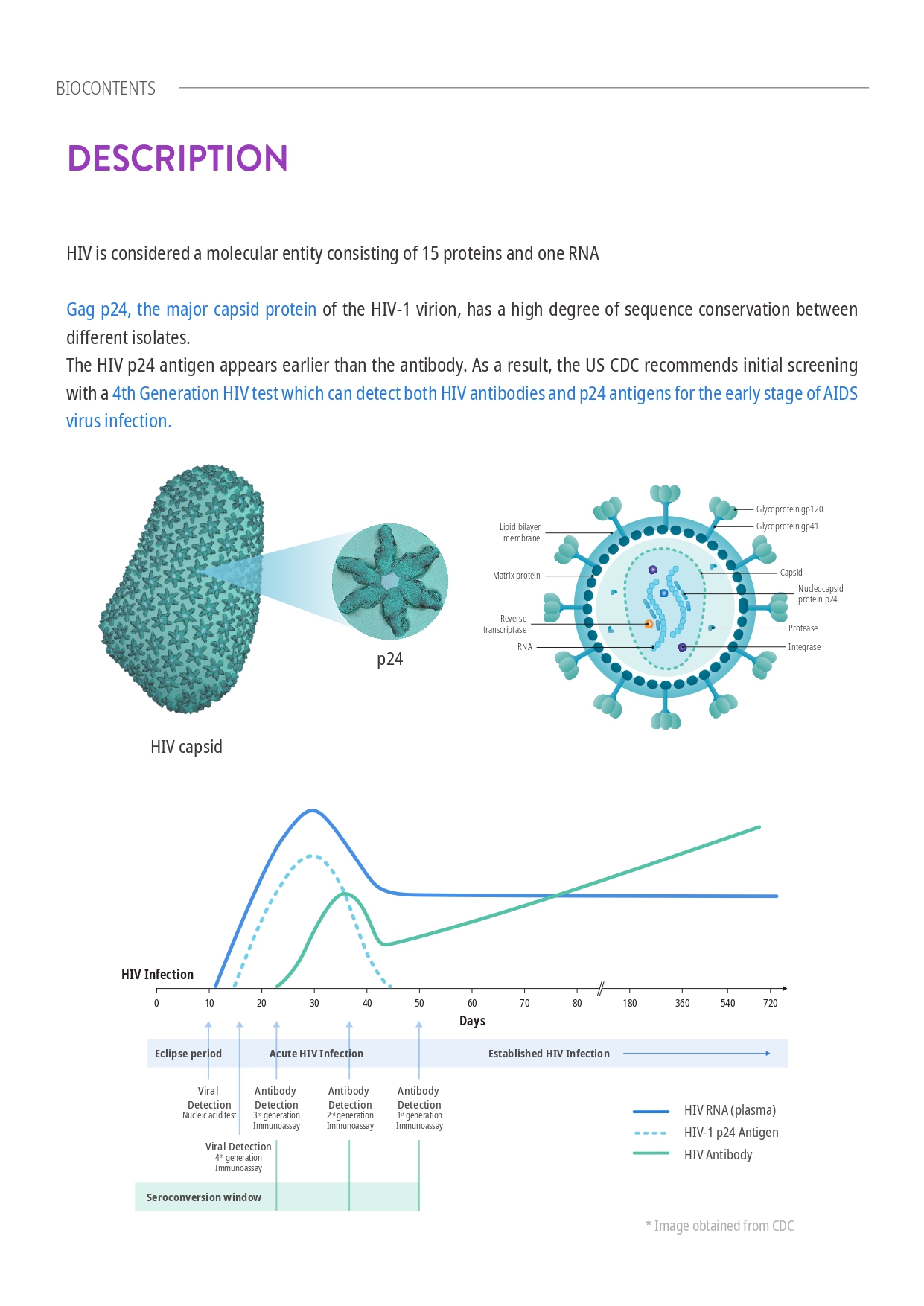 Leaflet_BIOCONTENTS_STDs_EN_page-0002.jpg
