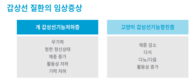 캡처 t42.PNG